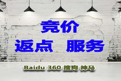 竞价广告的投放策略与网络推广的实践案例