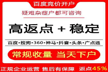 成功SEM代理案例：精准投放的策略